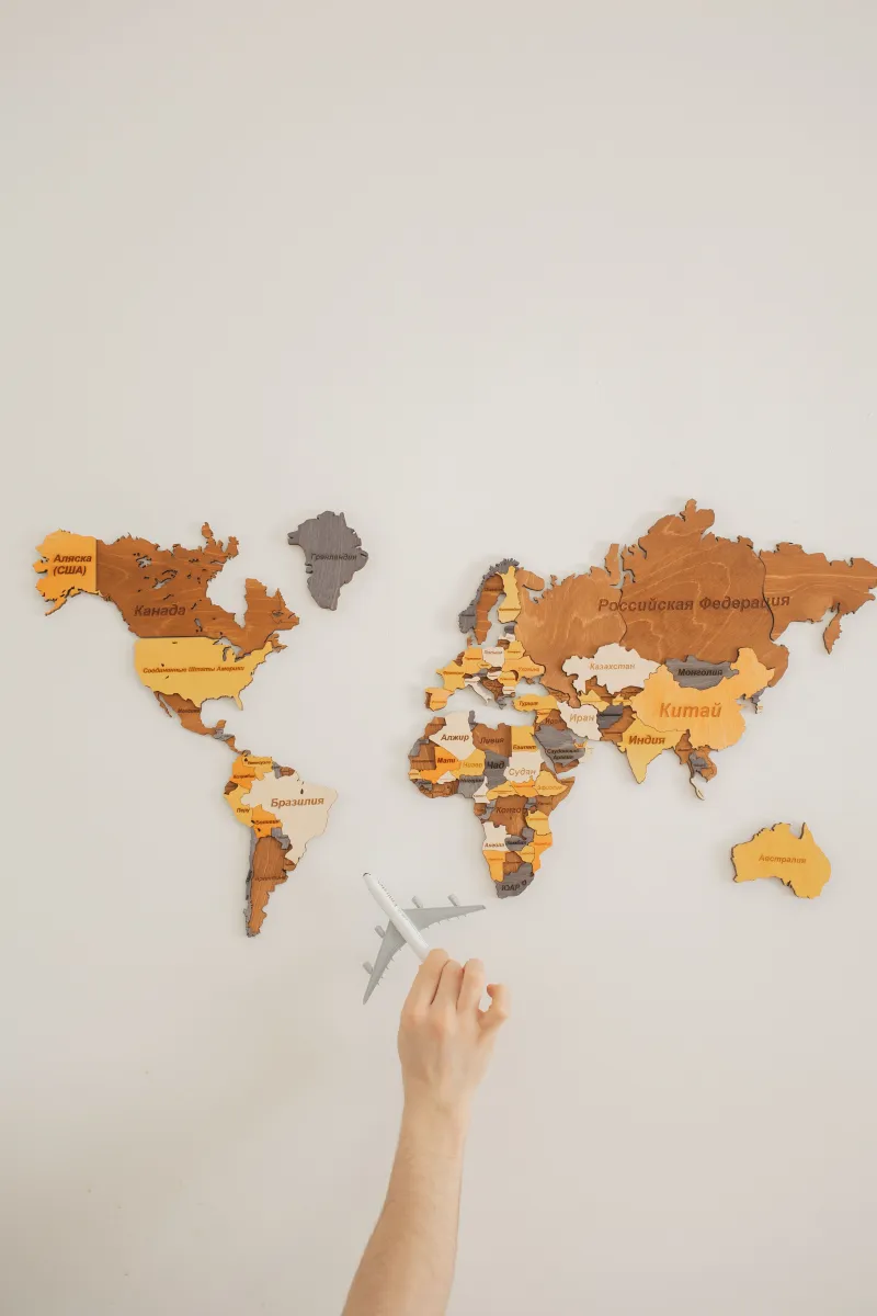 World map with airplane - INEURO Immigration Services